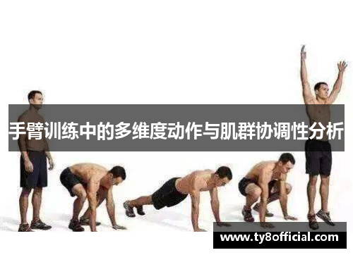 手臂训练中的多维度动作与肌群协调性分析